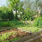 Veronika's House * Πούλα
