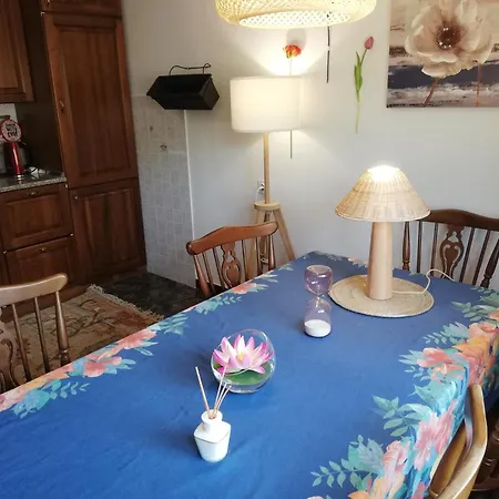 Apartment Veronika's House Pula