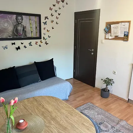 Apartment Veronika's House *