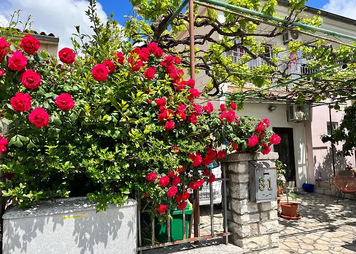 Veronika's House דירה *